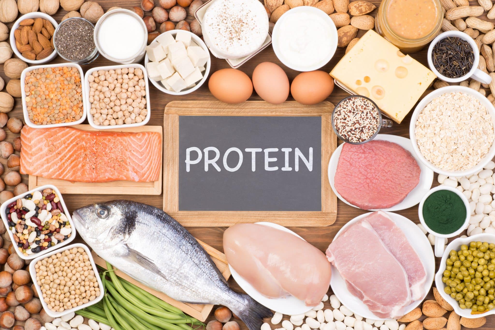 "Protein", steht auf einer Tafel in der Mitte, darum herum proteinhaltige Lebensmittel wie Nüsse, Hülsenfrüchte, Milchprodukte, Fleisch, Fisch oder Haferflocken.