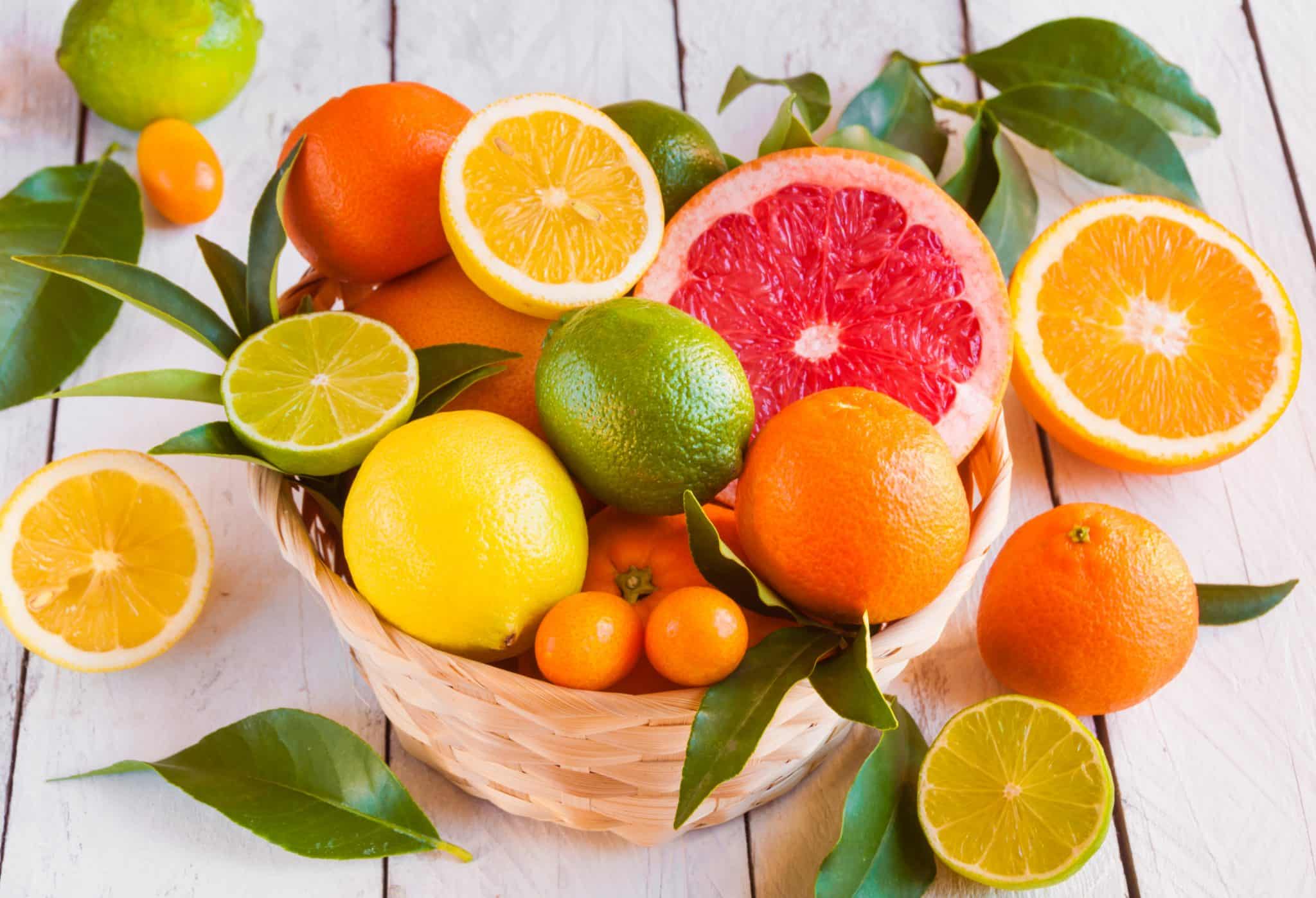 Auf dem Bild ist eine Variation von Zitrusfrüchten wie Orange, Grapefruit, Zitrone und Mandarine zu sehen.